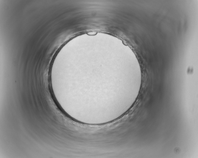 X0000093560002200711121025