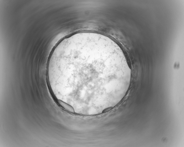 X0000093560003200711121025