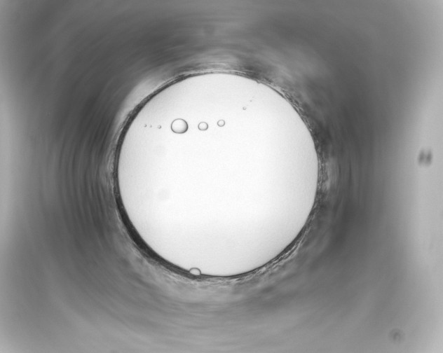 X0000093560004200711121024