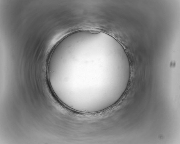 X0000093560005200711121024