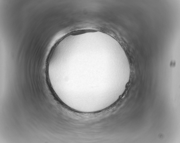 X0000093560006200711121024