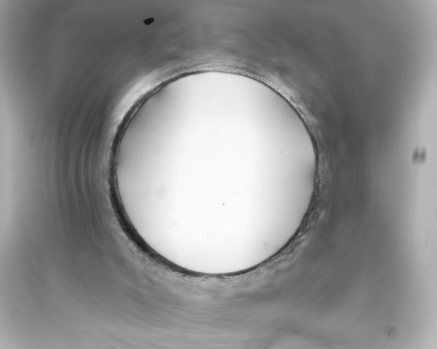 X0000093560007200711121024