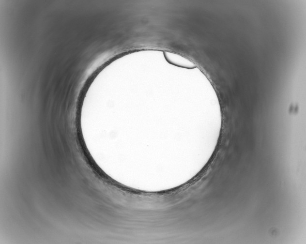 X0000093560008200711121024