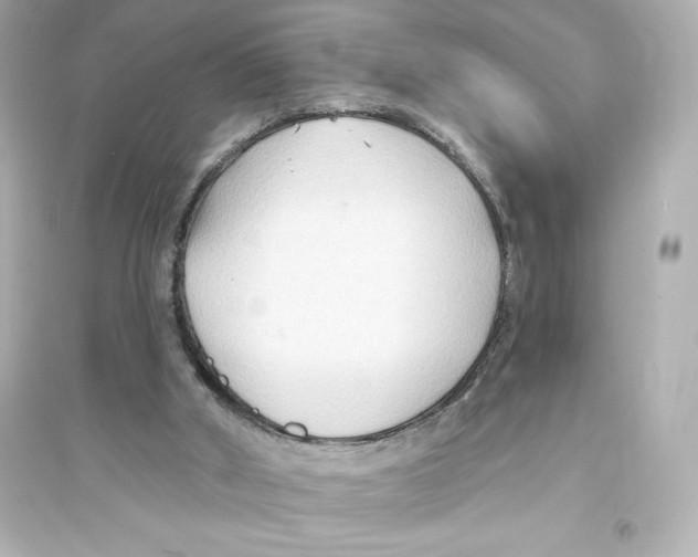 X0000093560010200711121024