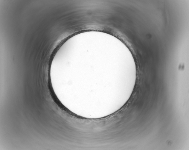 X0000093560011200711121024