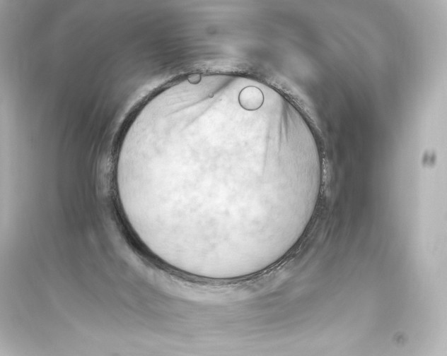 X0000093560012200711121024