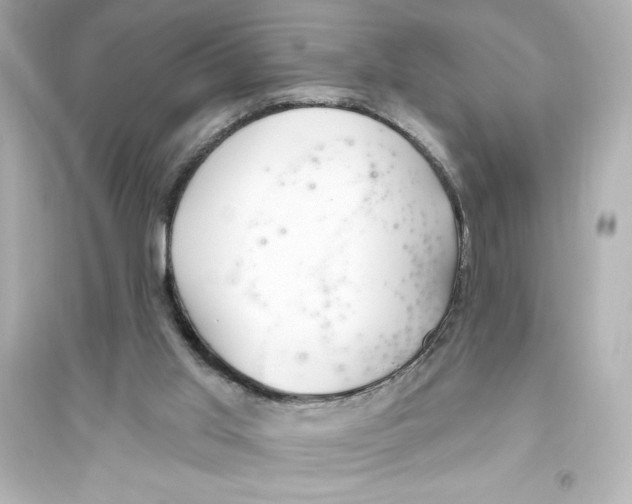 X0000093560013200711121024