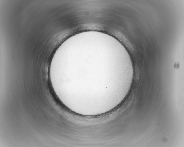 X0000093560014200711121024