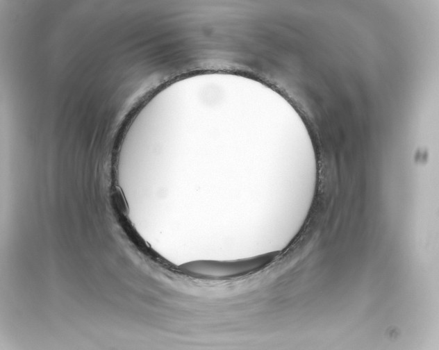 X0000093560015200711121024