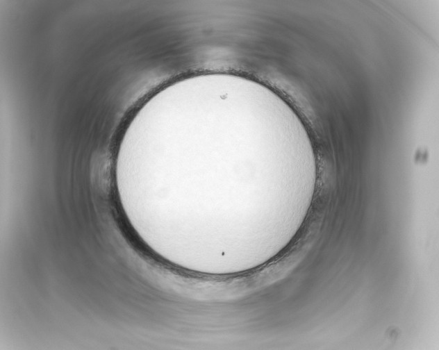 X0000093560016200711121024