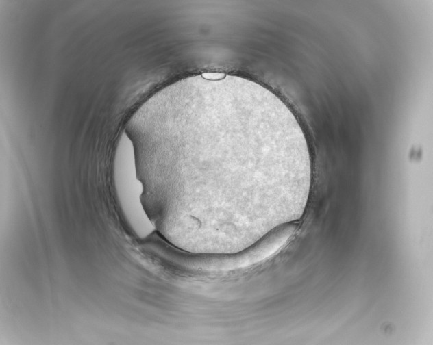 X0000093560017200711121024