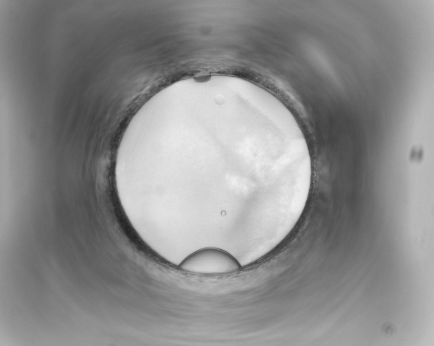 X0000093560018200711121024