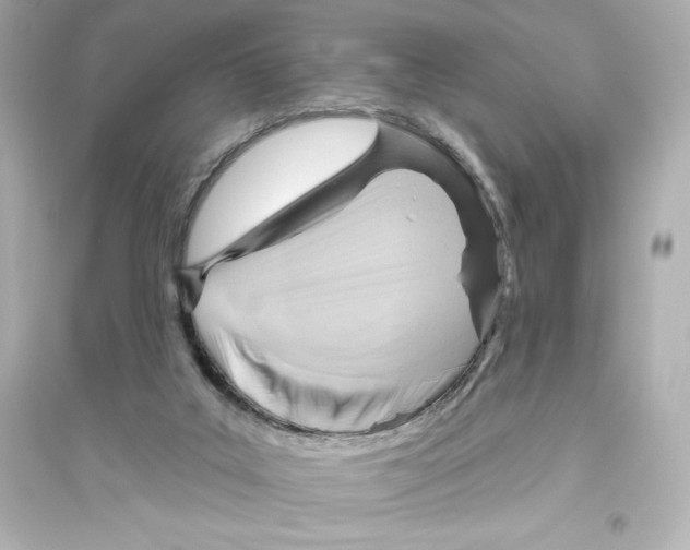 X0000093560019200711121024
