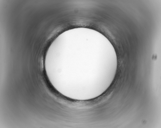 X0000093560020200711121024