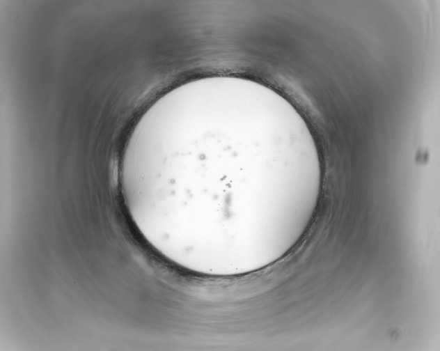 X0000093560021200711121024