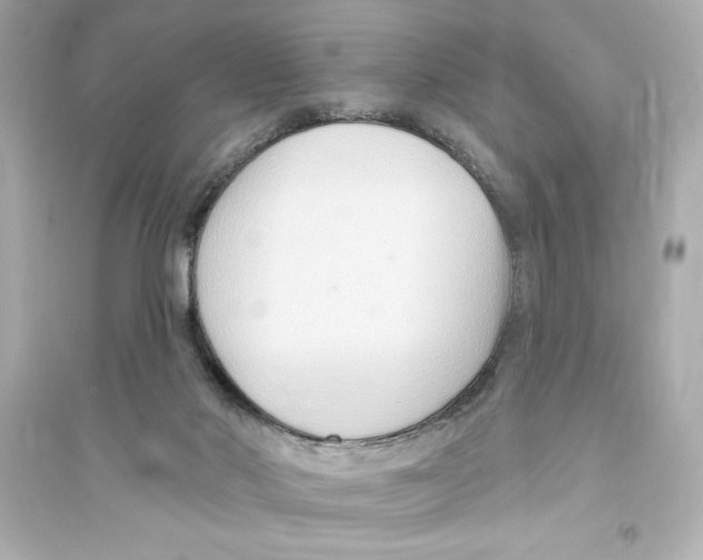 X0000093560022200711121024