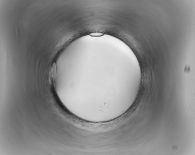 X0000093560023200711121024