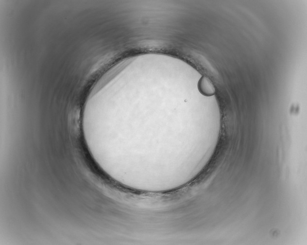 X0000093560024200711121024