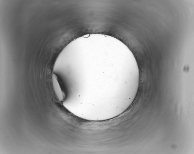 X0000093560025200711121024