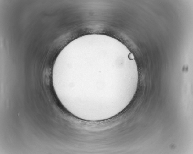 X0000093560026200711121024