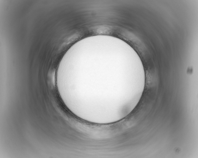 X0000093560028200711121024