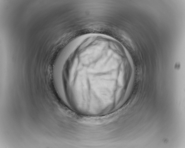 X0000093560029200711121024