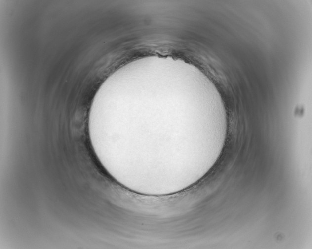 X0000093560030200711121024