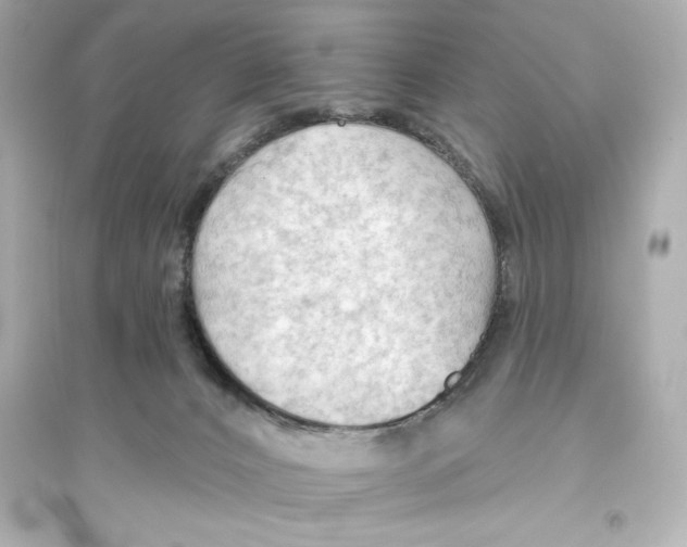 X0000093560032200711121024