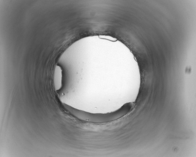 X0000093560033200711121024