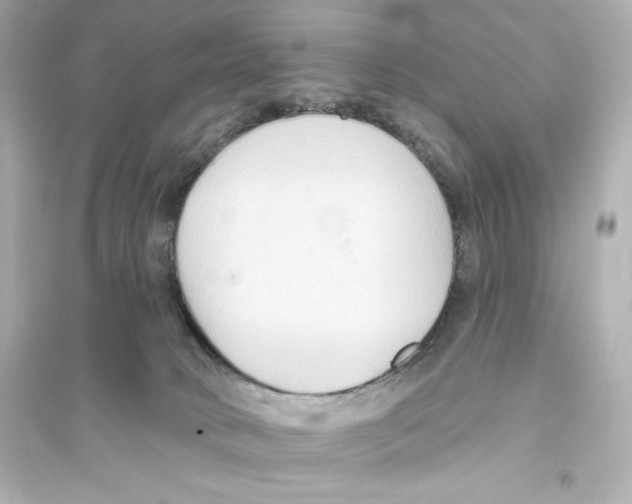 X0000093560034200711121024