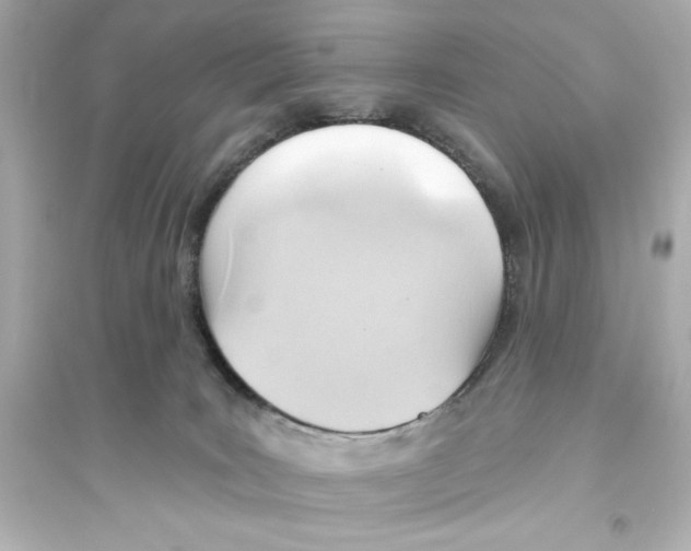 X0000093560035200711121024