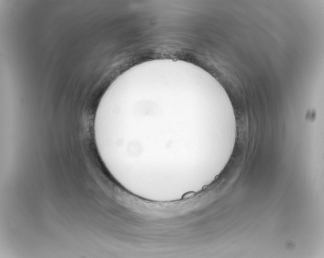 X0000093560038200711121024