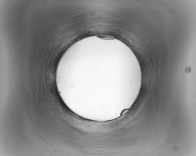 X0000093560040200711121024