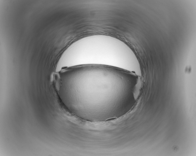 X0000093560041200711121024