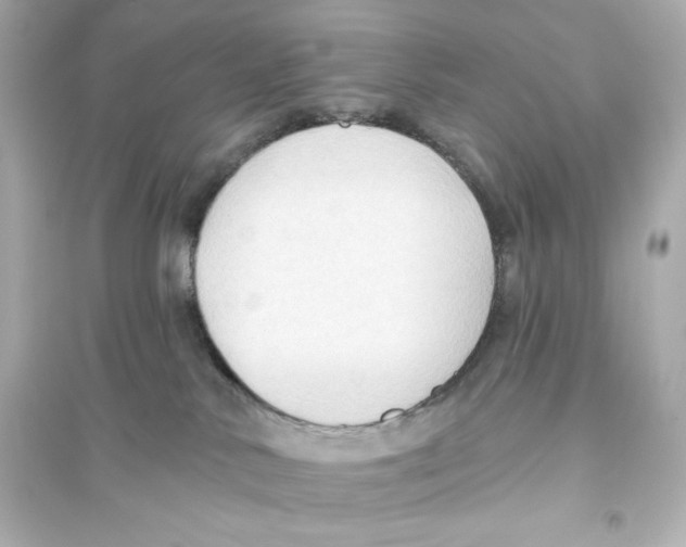 X0000093560042200711121024