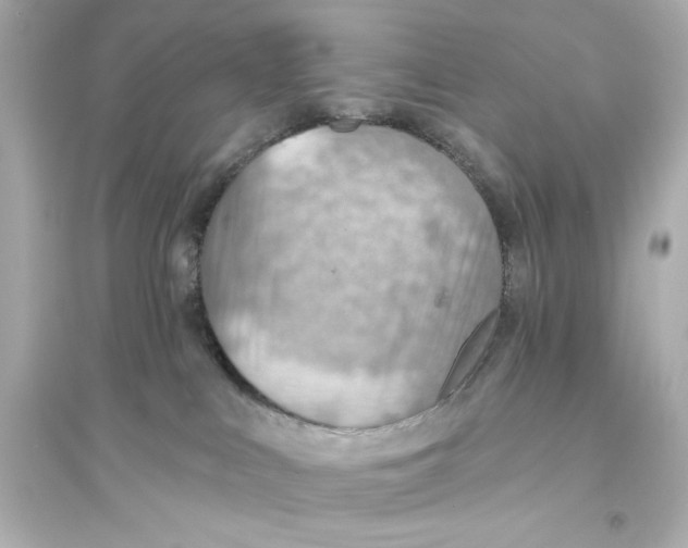X0000093560043200711121024