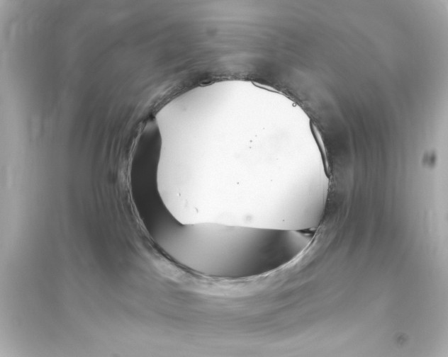 X0000093560045200711121024