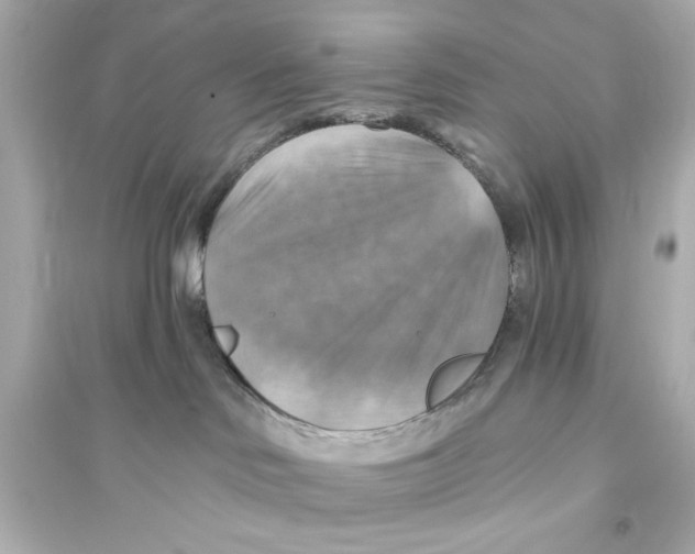X0000093560046200711121024