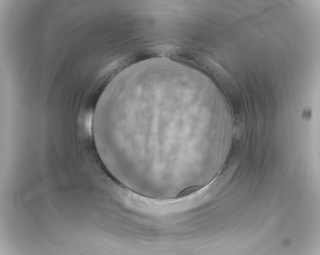 X0000093560047200711121024