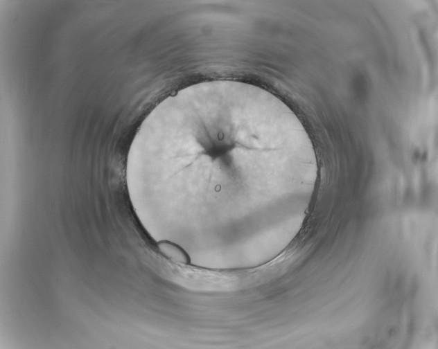 X0000093560048200711121024