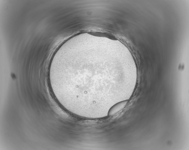 X0000093560049200711121023
