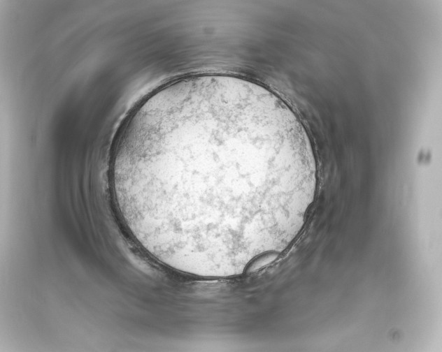 X0000093560050200711121023