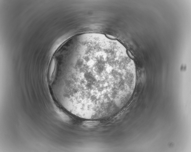 X0000093560051200711121023