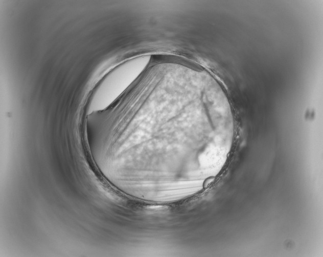 X0000093560053200711121023