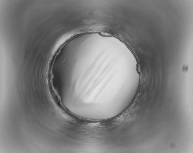 X0000093560054200711121023