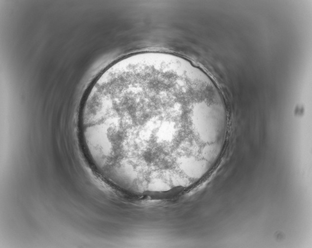 X0000093560055200711121023