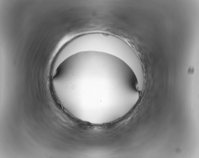 X0000093560056200711121023