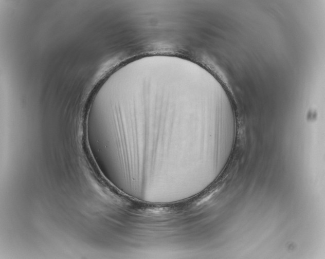 X0000093560059200711121023