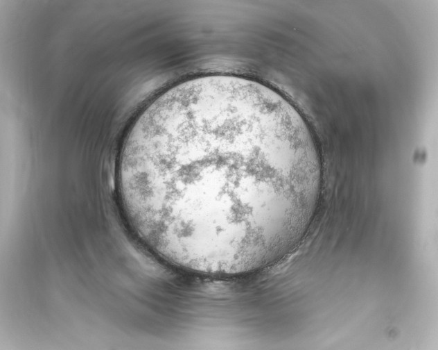X0000093560062200711121023