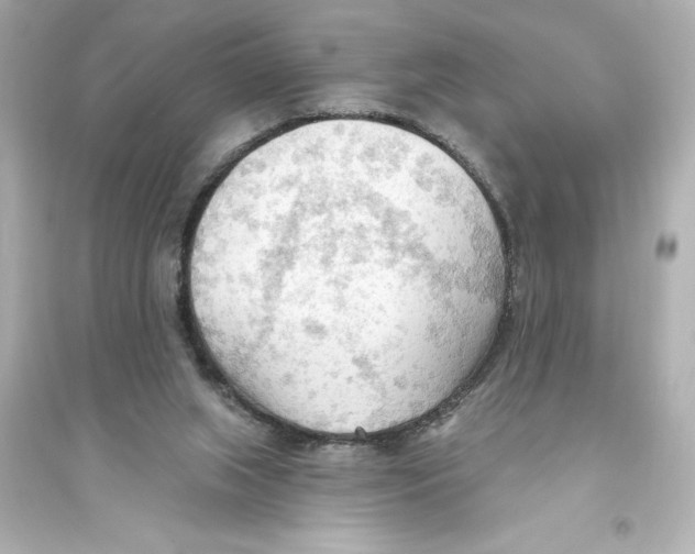 X0000093560063200711121023